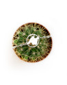 Pulsera de plata de Mallorca Anima de Mallorca